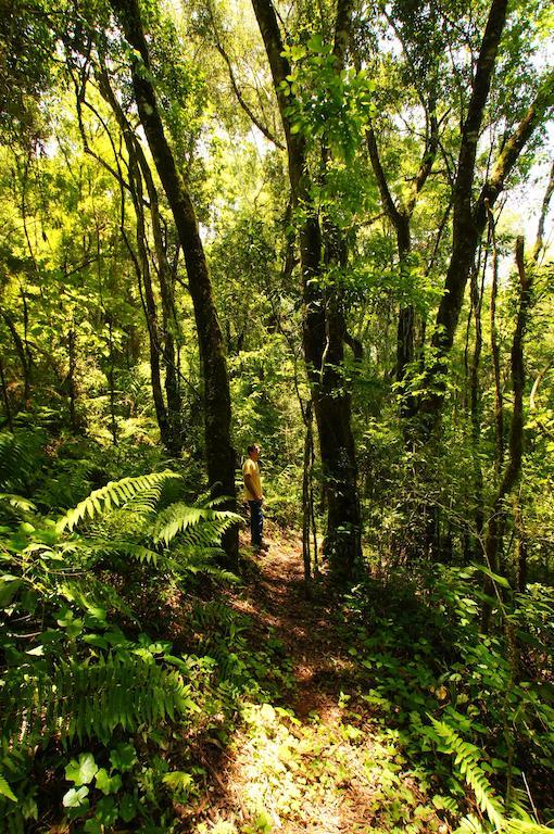 Yucuma Lodge El Soberbio Eksteriør billede